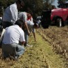 ARGENTINA: La Federación de Contratistas de Maquinaria Agrícola auguran un ciclo en alza