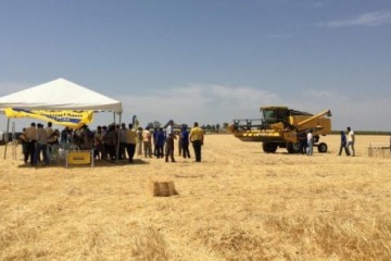 LANZAMIENTO NUEVO NEW HOLLAND TC5.30