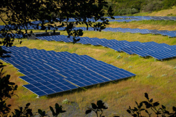 Amazon Virginia Solar Farm Approved For Construction
