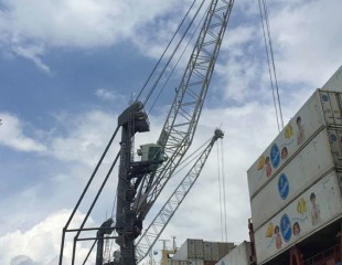 Liebherr Mobile Harbour Cranes expand in Latin America